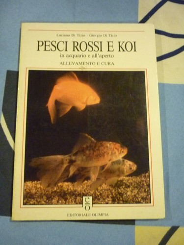 Pesci rossi koi luciano - e, di