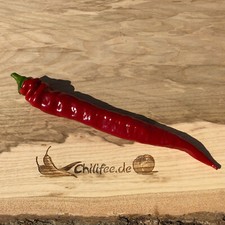 Peperoncino rosso Lombardo