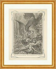 Sperbereule Fang Eichhörnchen