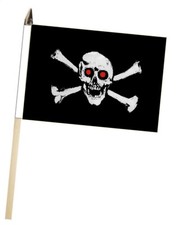 Teschio pirata e ossa
