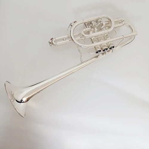 Jytr e170 tromba - jytr-e170, professionale
