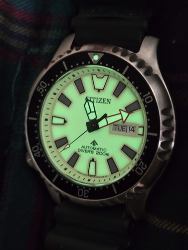 Quadrante citizen fugu full - quadrante,