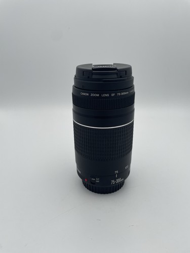 Canon 300mm 5 6 - canon, iii