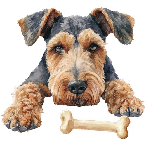 Adesivi airedale terrier - 3,