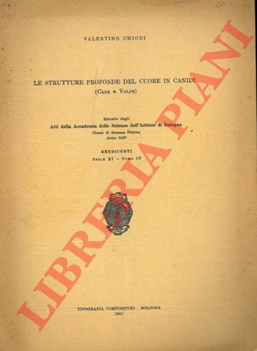 Strutture profonde del - le,