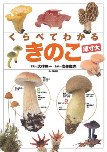 Mushrooms made easy compare - mushrooms,