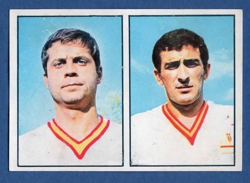 Figurina calciatori panini - figurina,