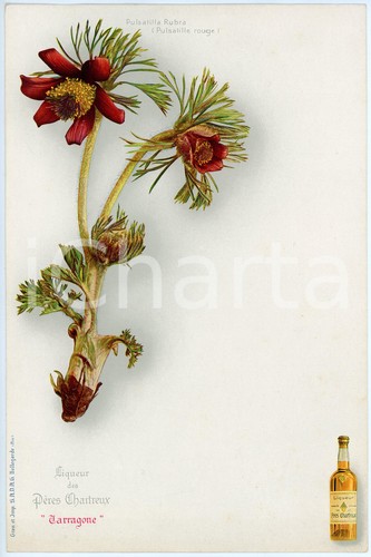 1920 tarragone liqueur des - tarragone,