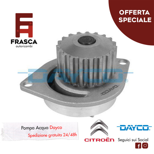 Pompa acqua dayco citroen - pompa,