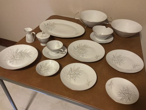 Rosenthal fine china - fine,
