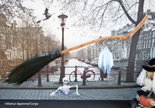 ANTHROPOLOGIE SCOPA ERBA