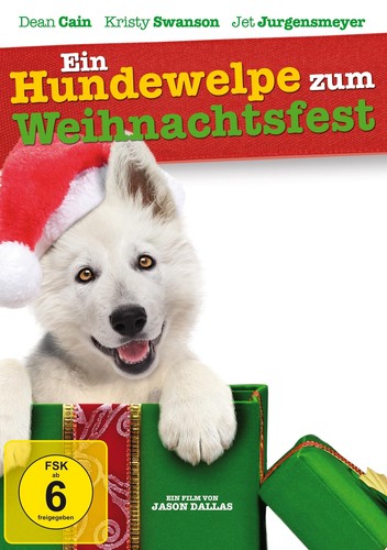 Ein hundewelpe zum - hundewelpe,