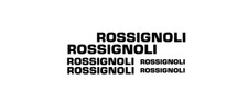 adesivi bici  -  6 adesivi ROSSIGNOLI   - stickers  ROSSIGNOLI