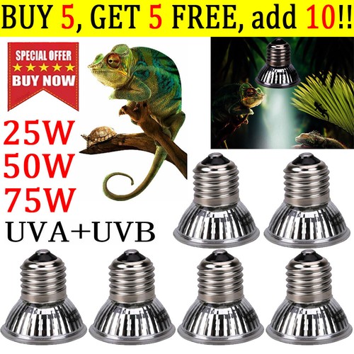 Lampada lampadina uva uvb - lampada, uva+uvb