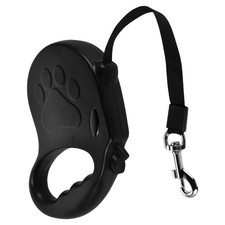 Passeggiate Con Il Cane
