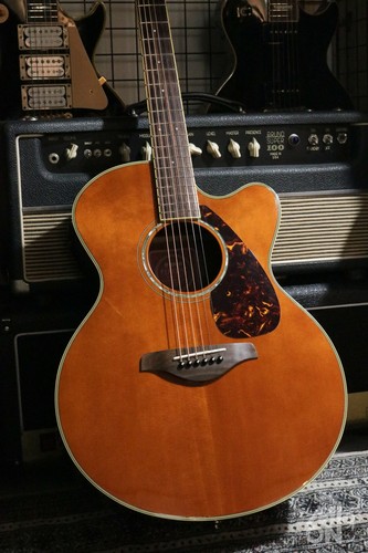Chitarra elettrica acustica
