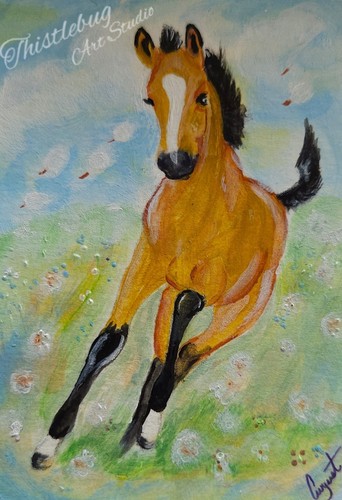 Aceo buckskin puledro - puledro, cavallo