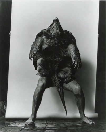George krause turtle - george,