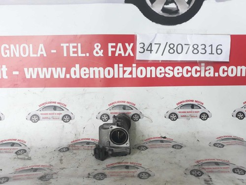 Gruppo corpo farfallato - gruppo,