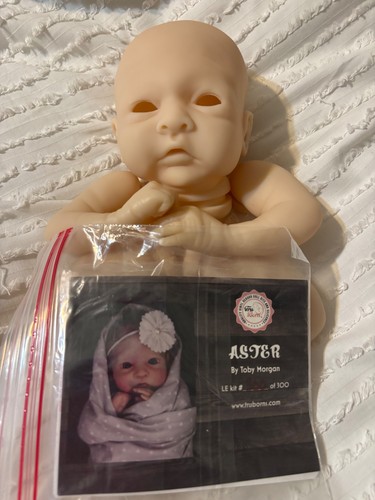Aster toby morgan suola - aster, by