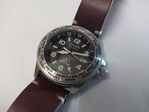 Citizen promaster gmt world - citizen,