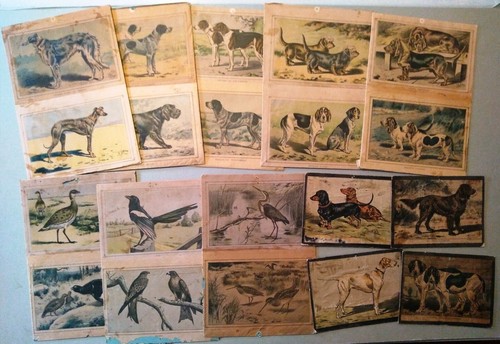 Lotto stampe antiche 14 - 20,
