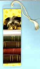 Yorkie Yorkshire Terrier Cane