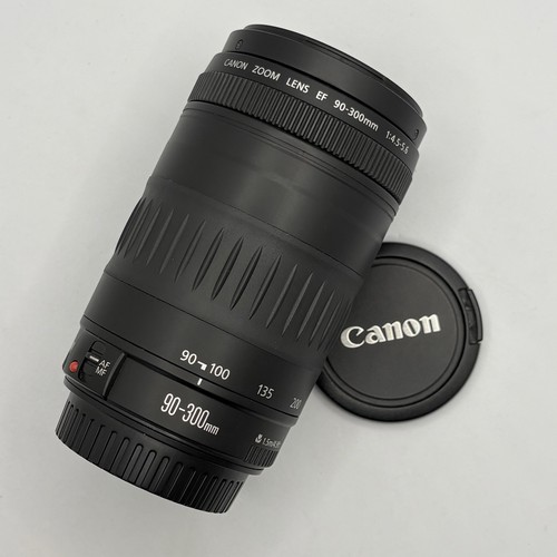 Canon 300 4 - canon, f/4.5-5.6