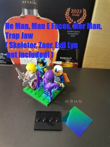 Masters the universe - the,