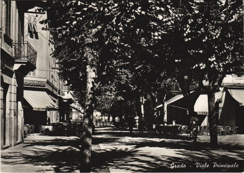 Cartolina cpa grado viale - cpa,
