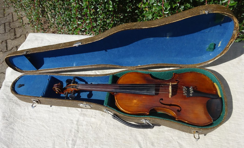 Antico violino - cm, 59,7