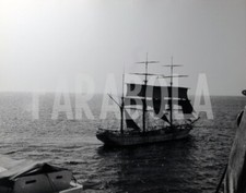 Foto Vintage Velieri Incontro