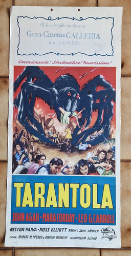 Tarantola tarantula jack - tarantula,