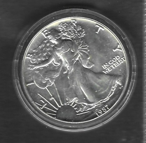 Moneta dollaro american - dollaro, "american