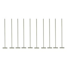 10x 26 Cm Piccioni Uccelli