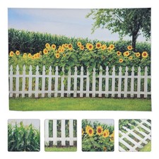  Fondali Per Fotografia