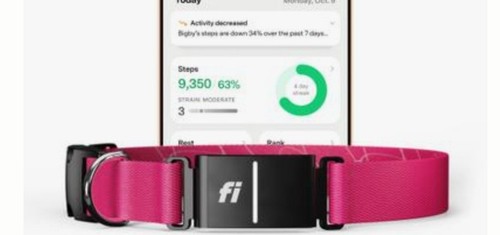 Collare per cani - gps, rosa