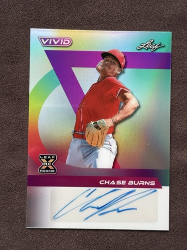 2024 leaf vivid chase - 2024,