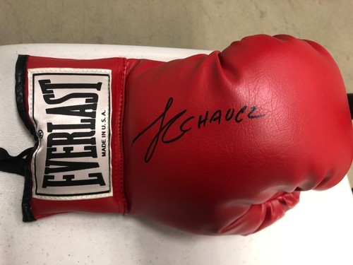 Julio cesar chavez - julio,