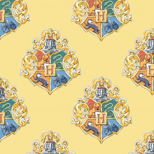 Distintivi casa harry potter - distintivi,