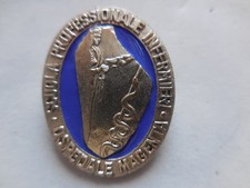 distintivo scuola professionale infermieri ospedale magenta