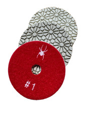 Etichetta bianca ragno - ragno, 4"