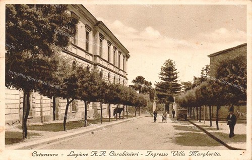Dt63 cartolina - dt63,
