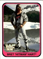 card wwf wrestling merlin 1991