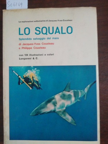 Squalo splendido selvaggio - squalo,