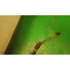 SCATOLA STERZO ELETTRICA PER SMART FORFOUR (04-07) W454 1.3 (70KW) BER. 2004