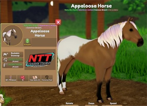 Wild horse islands snowcap - horse,