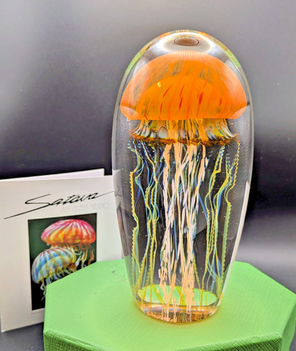 Meduse satava arancioni - 5,