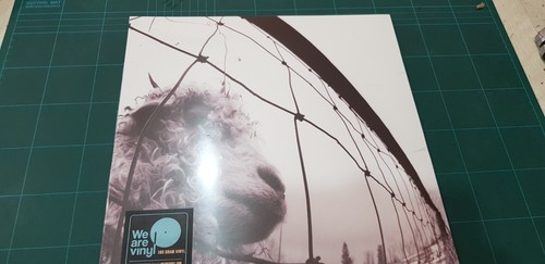 Pearl jam lp vinile - (lp,