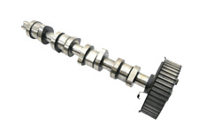 Albero a camme Audi A4 8E B7 B6 3B 2.0 TDI albero 038109101AF BPW BKE BRB BGW BHW